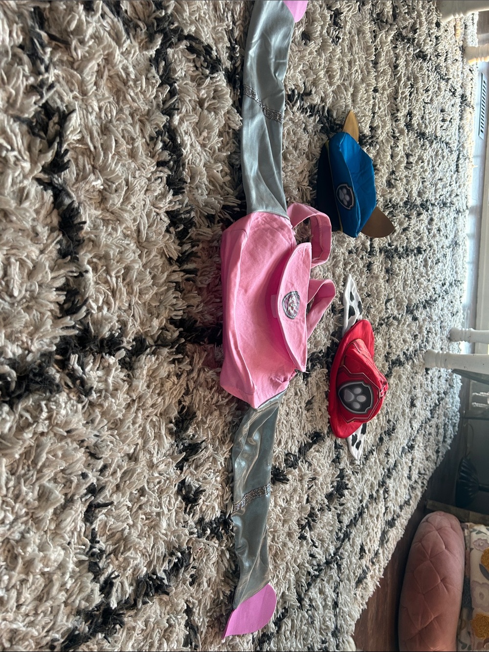 Paw Patrol Accessories